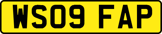WS09FAP