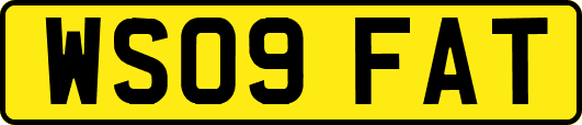 WS09FAT