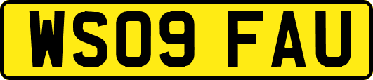 WS09FAU