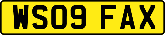 WS09FAX