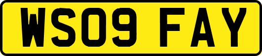 WS09FAY