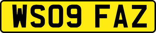 WS09FAZ