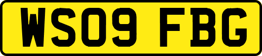 WS09FBG