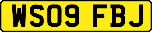 WS09FBJ