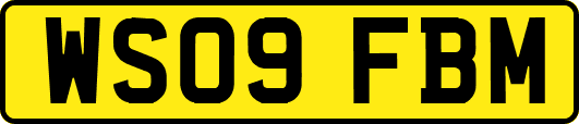 WS09FBM