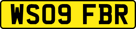 WS09FBR