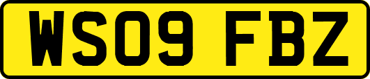 WS09FBZ