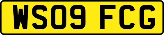 WS09FCG
