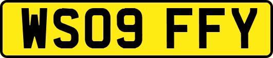 WS09FFY