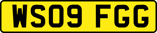 WS09FGG