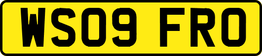 WS09FRO