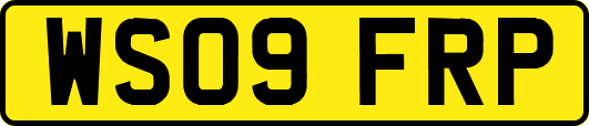 WS09FRP