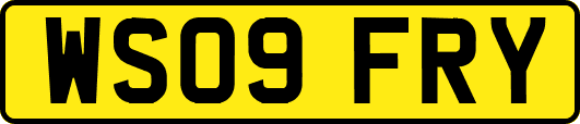 WS09FRY