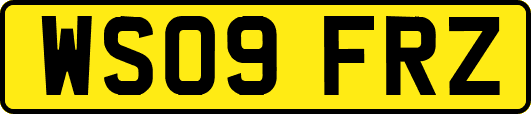 WS09FRZ