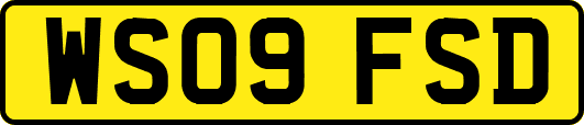 WS09FSD