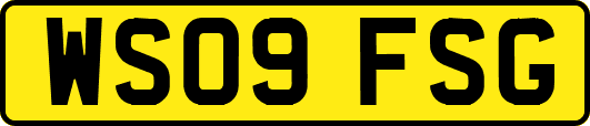 WS09FSG