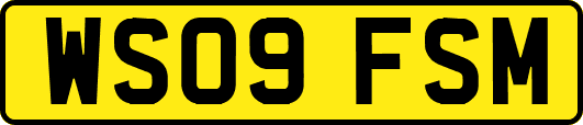 WS09FSM
