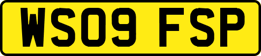 WS09FSP