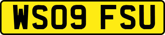 WS09FSU