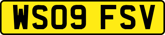 WS09FSV