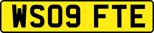WS09FTE