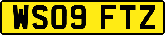 WS09FTZ