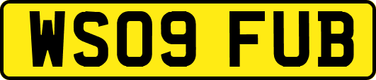 WS09FUB