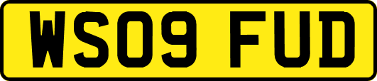 WS09FUD