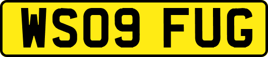 WS09FUG