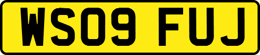 WS09FUJ