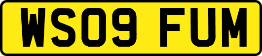 WS09FUM