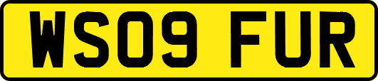 WS09FUR