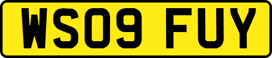 WS09FUY