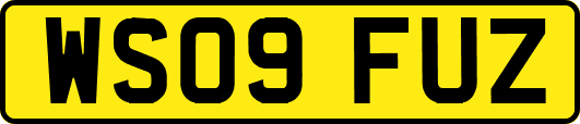 WS09FUZ