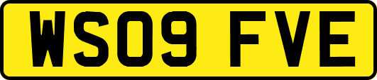 WS09FVE