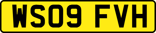 WS09FVH