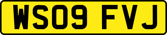 WS09FVJ
