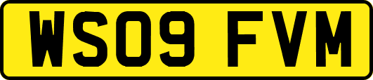 WS09FVM