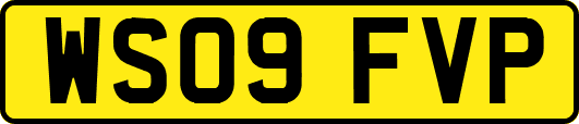 WS09FVP