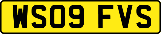 WS09FVS