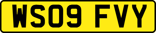 WS09FVY