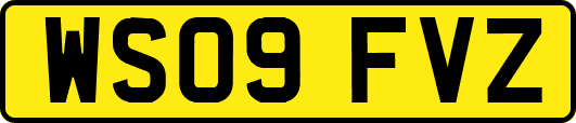 WS09FVZ