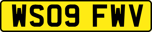 WS09FWV