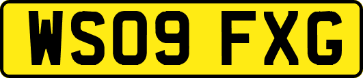 WS09FXG