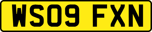 WS09FXN