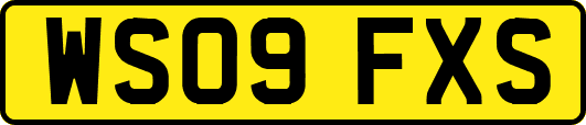 WS09FXS