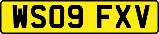 WS09FXV