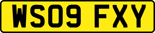 WS09FXY