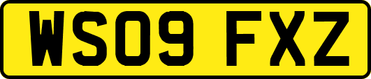 WS09FXZ
