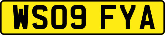 WS09FYA